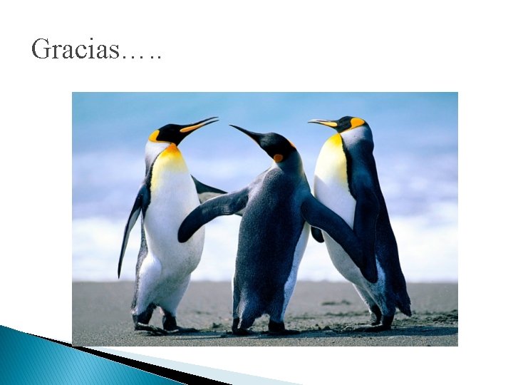 Gracias…. . Gracias…. .