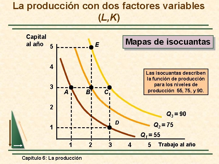 La producción con dos factores variables (L, K) Capital al año 5 Mapas de