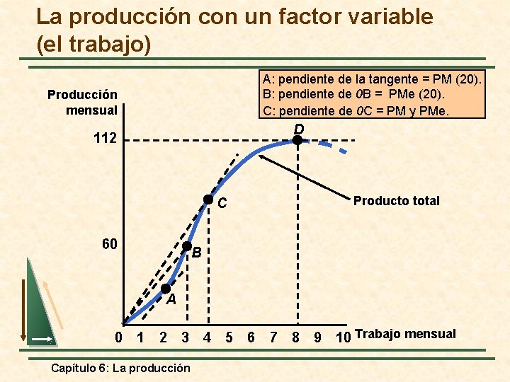 La producción con un factor variable (el trabajo) A: pendiente de la tangente =