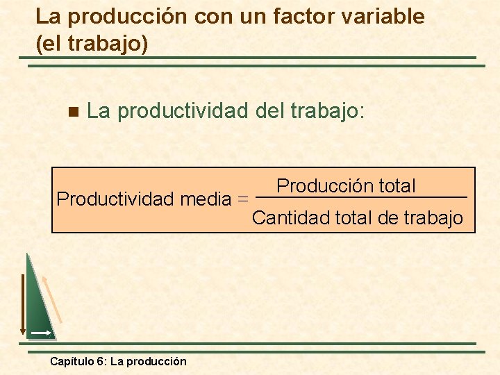 La producción con un factor variable (el trabajo) n La productividad del trabajo: Productividad