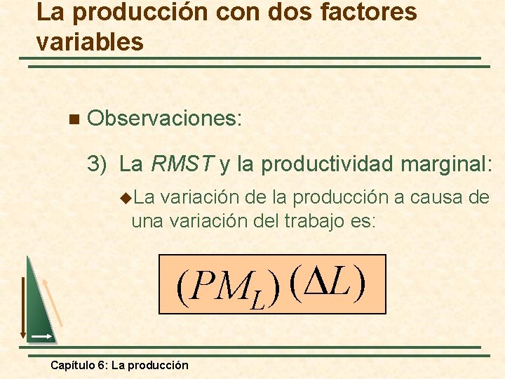La producción con dos factores variables n Observaciones: 3) La RMST y la productividad