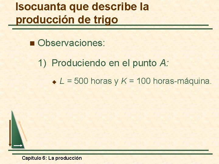 Isocuanta que describe la producción de trigo n Observaciones: 1) Produciendo en el punto