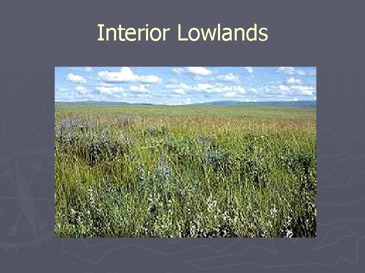 Interior Lowlands 