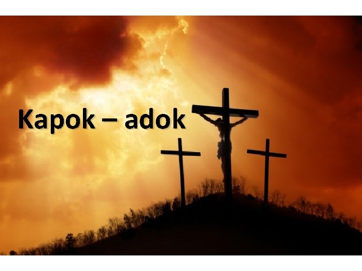 Kapok – adok 