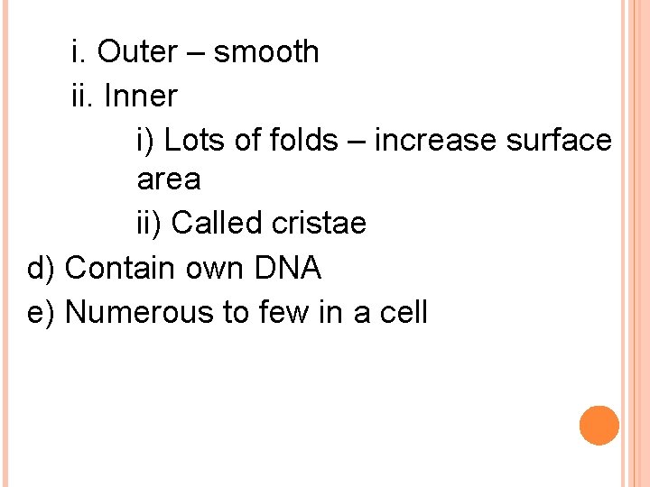 i. Outer – smooth ii. Inner i) Lots of folds – increase surface area