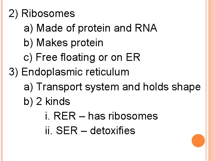 2) Ribosomes a) Made of protein and RNA b) Makes protein c) Free floating