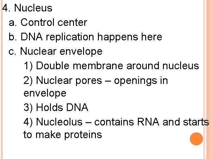 4. Nucleus a. Control center b. DNA replication happens here c. Nuclear envelope 1)
