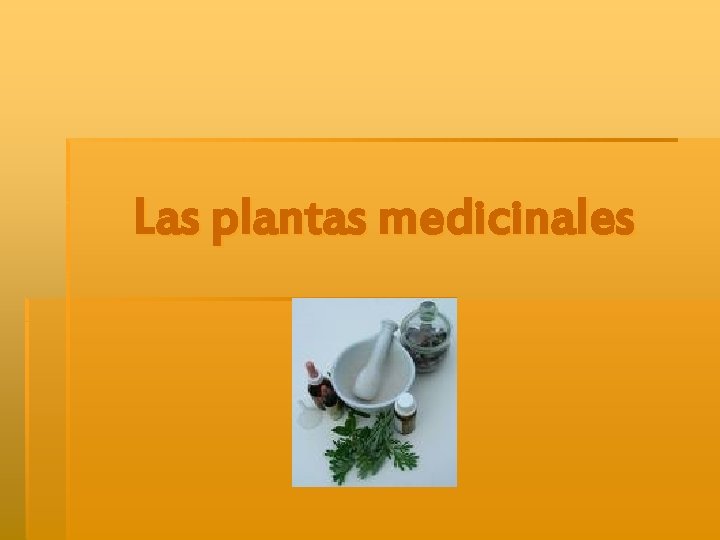 Las plantas medicinales 
