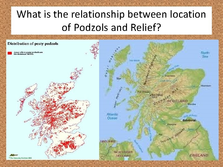 What is the relationship between location of Podzols and Relief? 