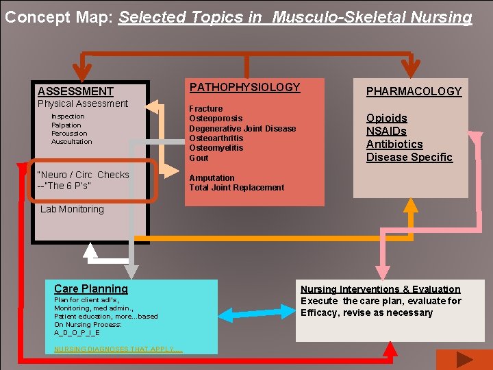 Concept Map: Selected Topics in Musculo-Skeletal Nursing ASSESSMENT Physical Assessment Inspection Palpation Percussion Auscultation
