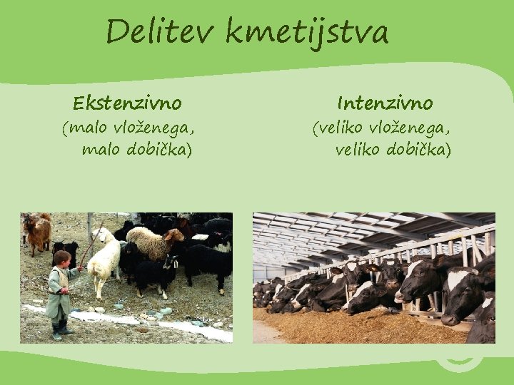 Delitev kmetijstva Ekstenzivno (malo vloženega, malo dobička) Intenzivno (veliko vloženega, veliko dobička) 