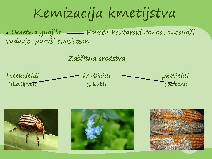 Kemizacija kmetijstva Umetna gnojila Poveča hektarski donos, onesnaži vodovje, poruši ekosistem Zaščitna sredstva Insekticidi