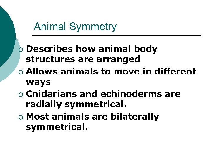 Animal Symmetry Describes how animal body structures are arranged ¡ Allows animals to move