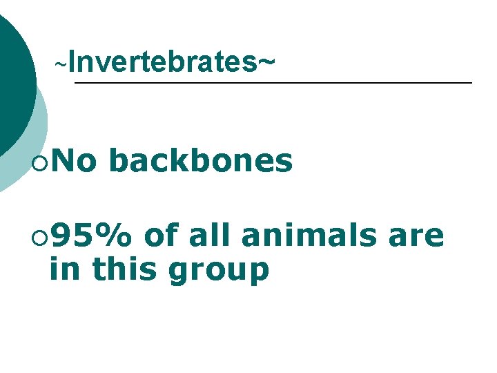 ~Invertebrates~ ¡No backbones ¡ 95% of all animals are in this group 
