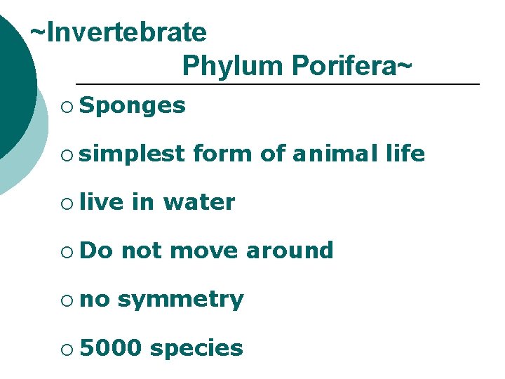 ~Invertebrate Phylum Porifera~ ¡ Sponges ¡ simplest ¡ live form of animal life in