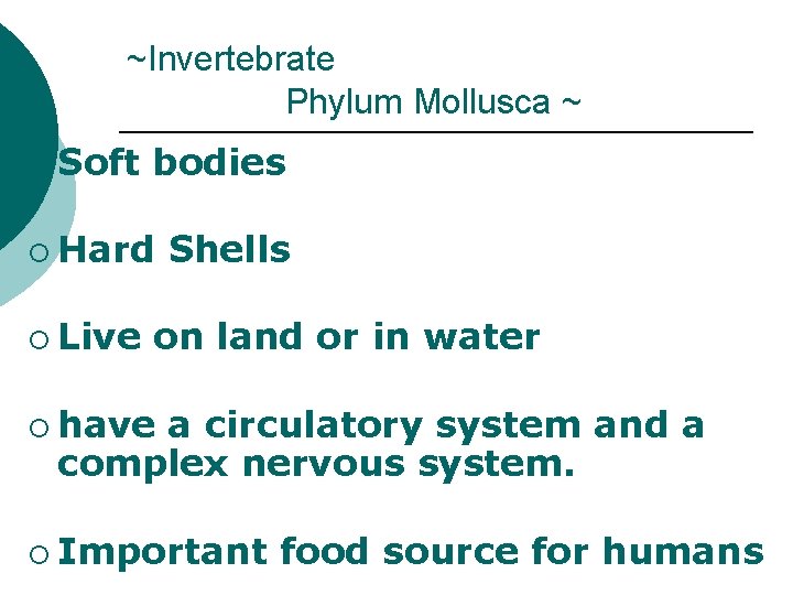 ~Invertebrate Phylum Mollusca ~ ¡ Soft bodies ¡ Hard ¡ Live Shells on land