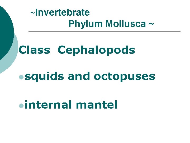 ~Invertebrate Phylum Mollusca ~ Class Cephalopods lsquids and octopuses linternal mantel 