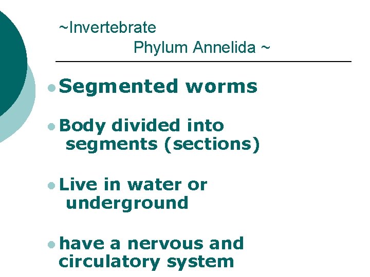 ~Invertebrate Phylum Annelida ~ l Segmented worms l Body divided into segments (sections) l