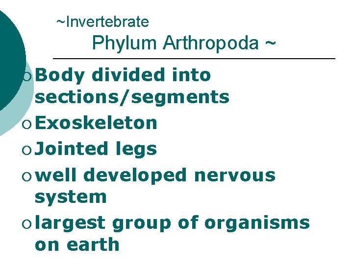 ~Invertebrate Phylum Arthropoda ~ ¡ Body divided into sections/segments ¡ Exoskeleton ¡ Jointed legs