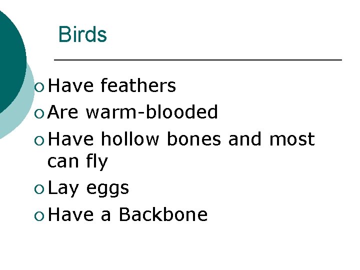 Birds ¡ Have feathers ¡ Are warm-blooded ¡ Have hollow bones and most can
