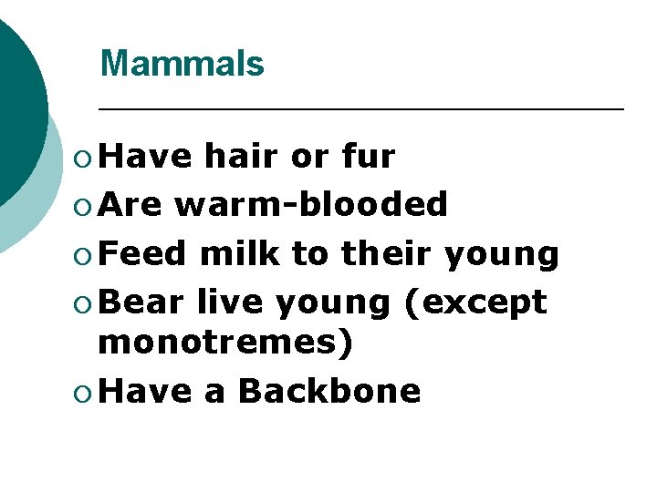 Mammals ¡ Have hair or fur ¡ Are warm-blooded ¡ Feed milk to their