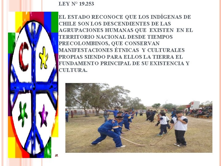 LEY N° 19. 253 EL ESTADO RECONOCE QUE LOS INDÍGENAS DE CHILE SON LOS