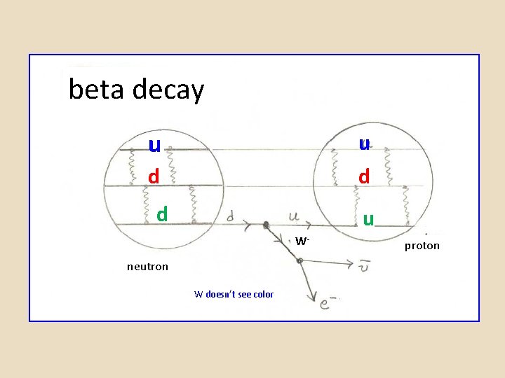 beta decay u u d d d u W- neutron W doesn’t see color