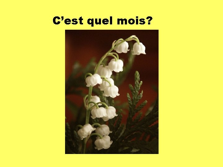 C’est quel mois? 