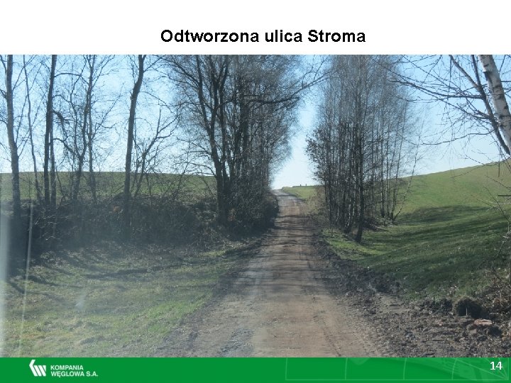 Odtworzona ulica Stroma 14 