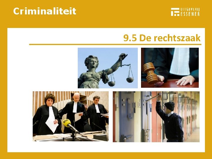 Criminaliteit 9. 5 De rechtszaak 