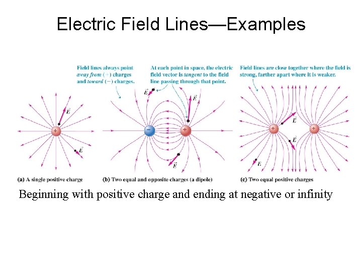 Electric Field Lines—Examples Beginning with positive charge and ending at negative or infinity 