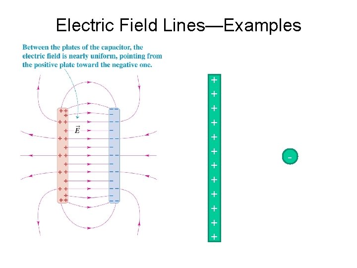 Electric Field Lines—Examples + + + - 