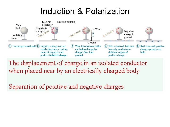 Induction & Polarization The displacement of charge in an isolated conductor when placed near