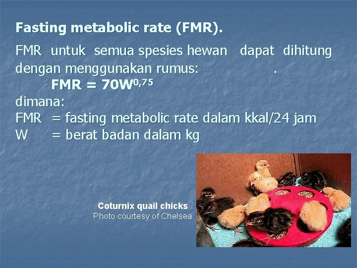 Fasting metabolic rate (FMR). FMR untuk semua spesies hewan dapat dihitung dengan menggunakan rumus: