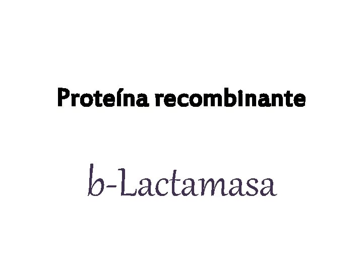 Proteína recombinante b-Lactamasa 
