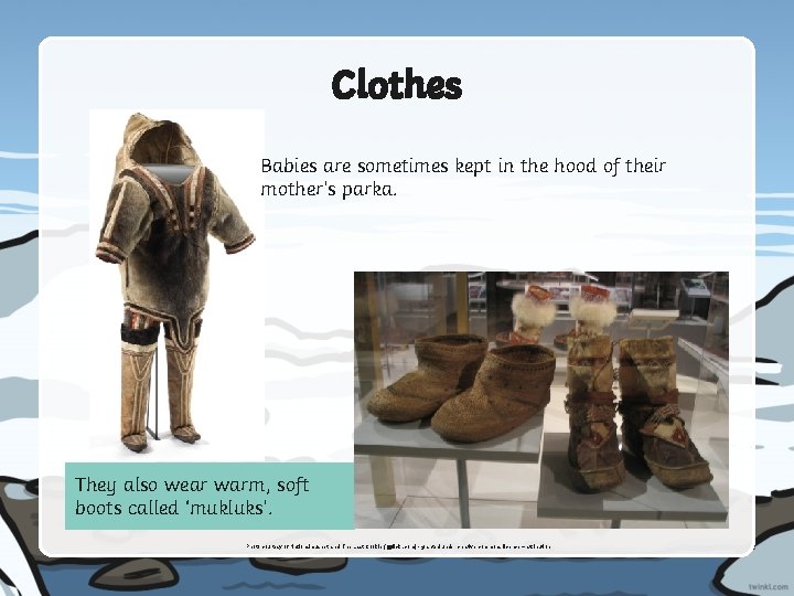 Clothes Babies are sometimes kept in the hood of their mother’s parka. They also