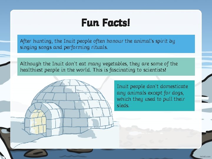 Fun Facts! After hunting, the Inuit people often honour the animal’s spirit by singing
