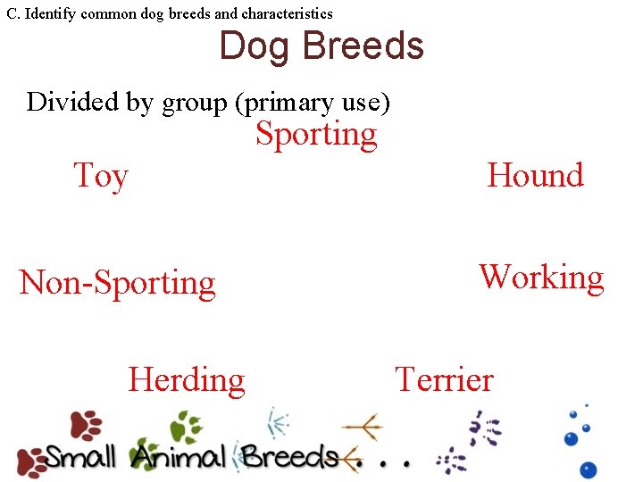 C. Identify common dog breeds and characteristics Dog Breeds Divided by group (primary use)