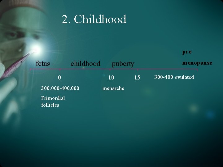 2. Childhood pre fetus childhood 0 300. 000 -400. 000 Primordial follicles puberty 10