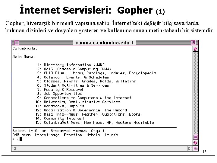 İnternet Servisleri: Gopher (1) Gopher, hiyerarşik bir menü yapısına sahip, İnternet’teki değişik bilgisayarlarda bulunan