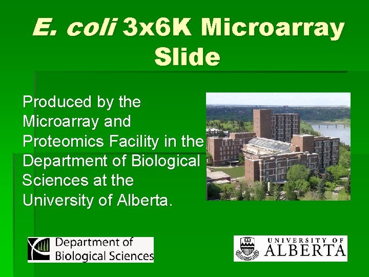 E. coli 3 x 6 K Microarray Slide Produced by the Microarray and Proteomics