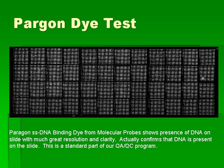 Pargon Dye Test Paragon ss-DNA Binding Dye from Molecular Probes shows presence of DNA