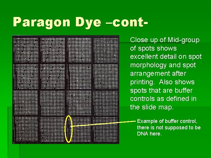 Paragon Dye –cont. Close up of Mid-group of spots shows excellent detail on spot