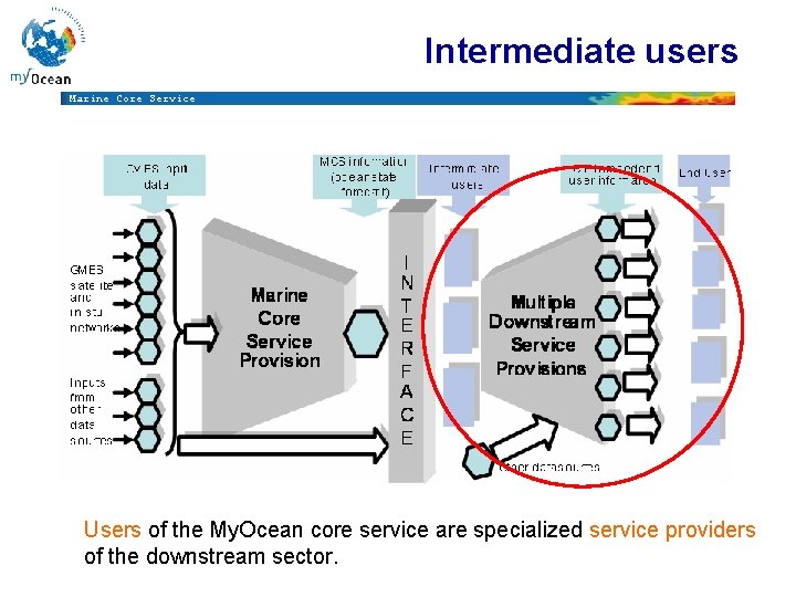 Intermediate users Marine Core Service Users of the My. Ocean core service are specialized Intermediate users Marine Core Service Users of the My. Ocean core service are specialized