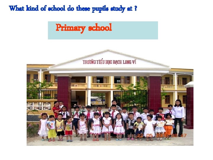 What kind of school do these pupils study at ? Primary school 