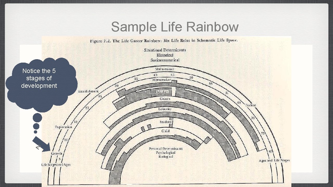 Sample Life Rainbow Notice the 5 stages of development z 