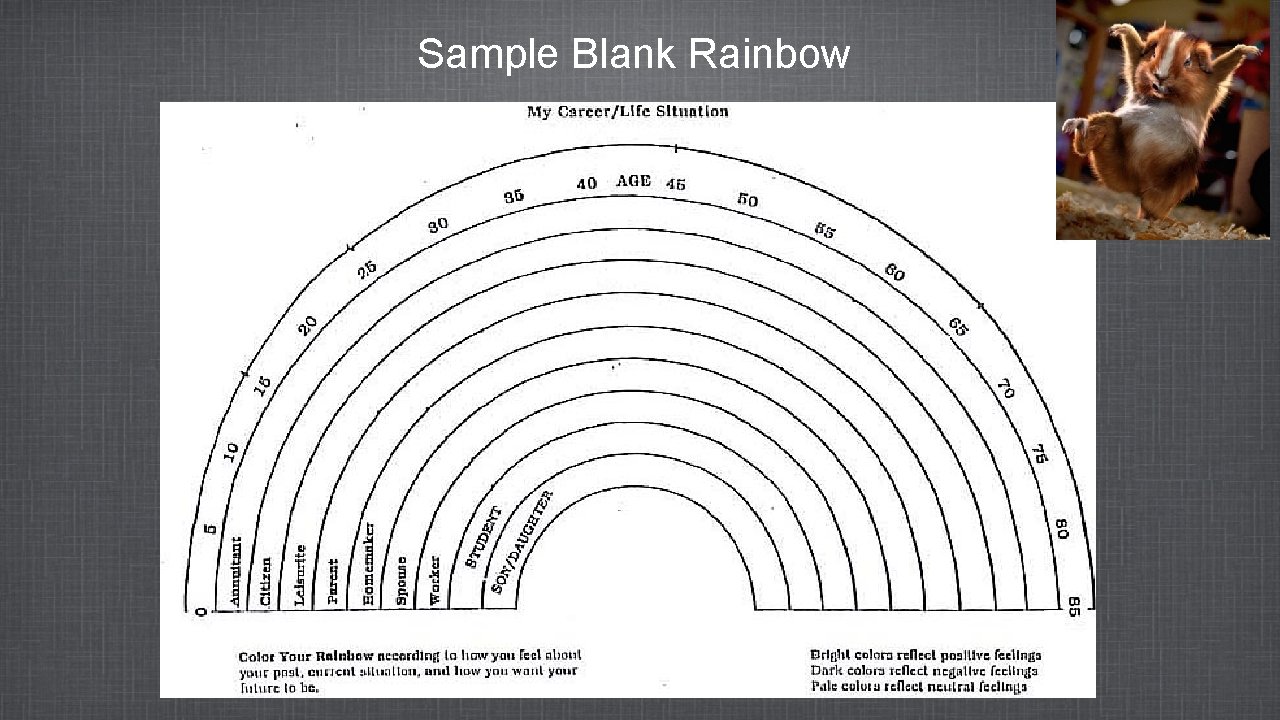 Sample Blank Rainbow 