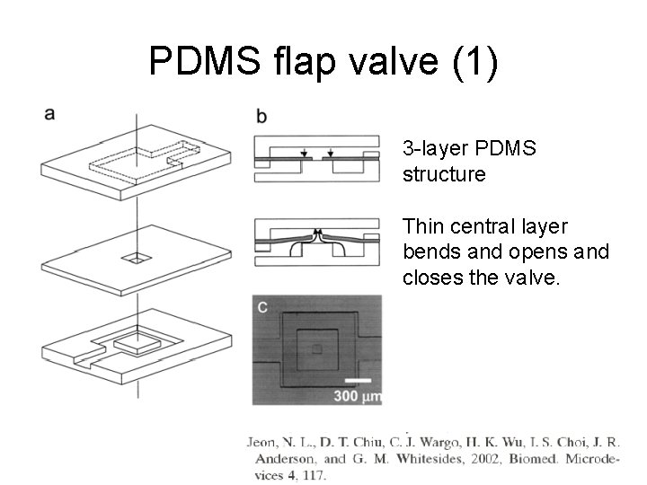 PDMS flap valve (1) 3 -layer PDMS structure Thin central layer bends and opens