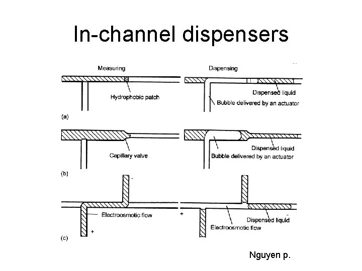 In-channel dispensers Nguyen p. 