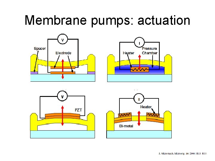 Membrane pumps: actuation 